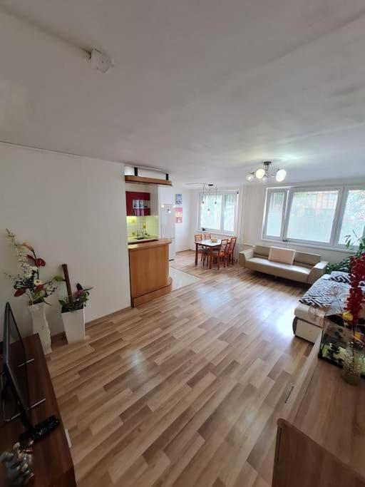 Linhs Place Apartment Prague